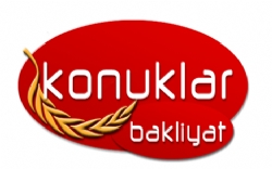 Tarih:11.7.2018 17:39:20Hit:1868